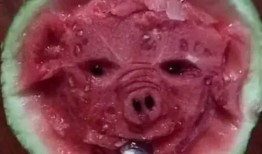 吃瓜要有艺术感,品味生活，畅享瓜趣