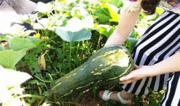 商场吃瓜的好处,轻松享受休闲时光