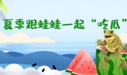 吃瓜蛙密码,揭秘网络流行语的奥秘