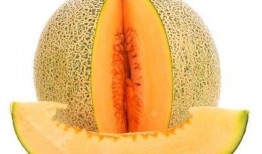 来姨妈晚上吃哈密瓜好吗