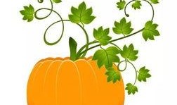 扶绥吃瓜事件,一场引发热议的街头冲突事件回顾