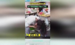 班级校园比赛吃瓜,班级校园比赛欢乐瞬间