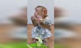 饿了吃瓜渴了还是瓜,美食满足——饿了吃瓜，渴了还是瓜