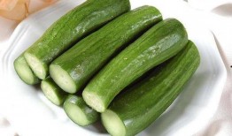 风水吃瓜,吃瓜也能旺运势，揭秘瓜果中的风水奥秘