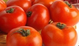 晚上吃番茄乳瓜,夜晚美食新宠，营养美味两不误