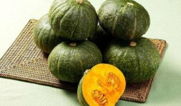 可以吃的瓜都有啥品种,盘点可食用瓜类的丰富品种