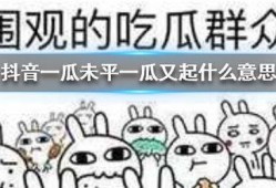 抖音吃瓜群众代表,揭秘网络舆论场的众生相