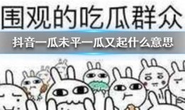 抖音吃瓜群众代表,揭秘网络舆论场的众生相