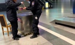 上海机场吃瓜,揭秘网红打卡地的幕后故事