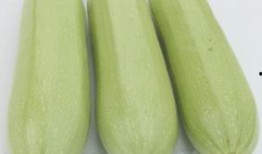 孕妇可用吃白瓜,白瓜助力健康孕育