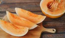 蜜瓜奶妈可以吃吗,孕妇可以食用吗？营养与安全解析