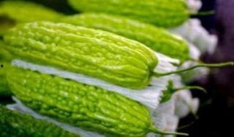 孕妇吃玻璃翠瓜,营养与安全并重的孕期美食探索