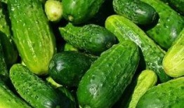 夏天吃瓜解渴,瓜果飘香——解渴美食之旅