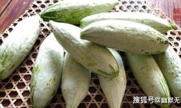 清甜吃瓜,夏日解暑新宠
