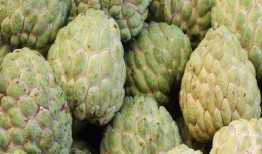 妊娠糖尿病可以吃瓜,巧吃瓜果，健康孕期无忧