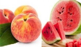 会吃桃的瓜,探寻会吃桃的瓜的奇妙之旅