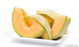 日剧吃哈密瓜,日剧中的哈密瓜美食之旅