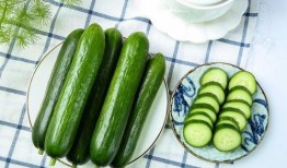 看瓜与吃瓜区别是什么,揭秘两者之间的本质区别