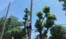 铁柱吃瓜,揭秘娱乐圈背后的那些事儿