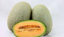 吃哈密瓜新娘,一场甜蜜的婚恋奇遇