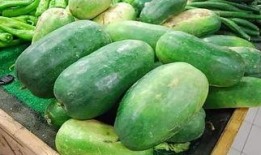 昏昏吃瓜味儿,揭秘网络流行语的魅力与影响