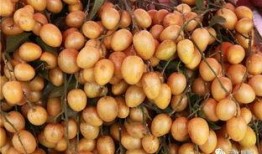 雪梨瓜怎么吃减肥,清爽解腻，轻松享瘦新选择